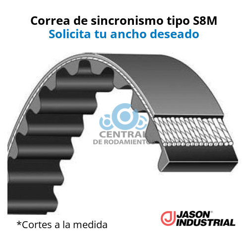 Manga de sincronismo, S8M1160, Longitud 1160 mm, Numero de dientes 145, JASON, Cortes a la medida segun el ancho deseado