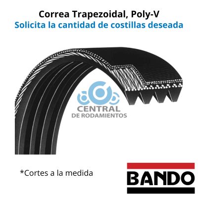 Correa trapezoidal Poly-V, 310J, Longitud externa 31 pulgadas, bando, cantidad de costillas segun lo requerido, cortes a la medida