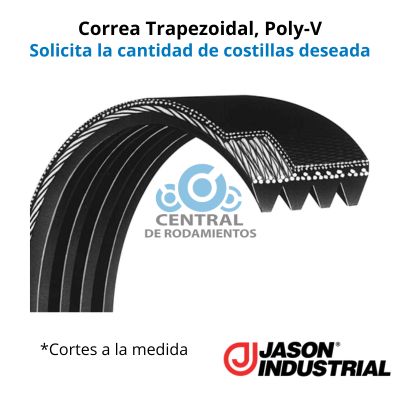 Correa trapezoidal Poly-V, 500J, Longitud externa 50 pulgadas, jason, cantidad de costillas segun lo requerido, cortes a la medida