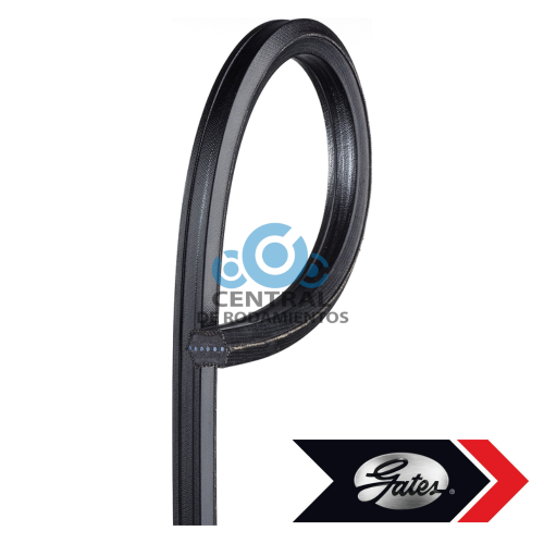 Correa trapezoidal estandar, BB81, Longitud externa 82 pulgadas, gates